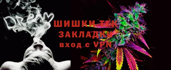 spice Новозыбков