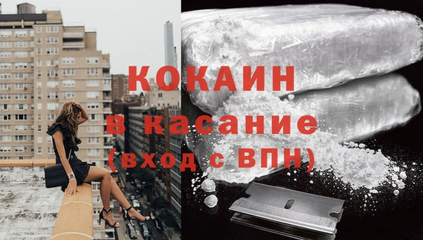 мяу мяу мука Арсеньев