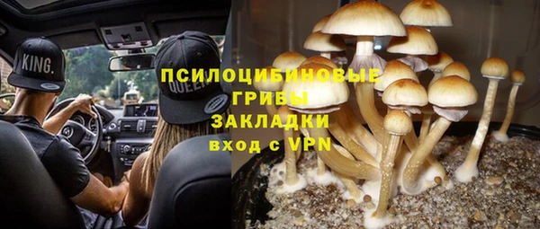 таблы Нея